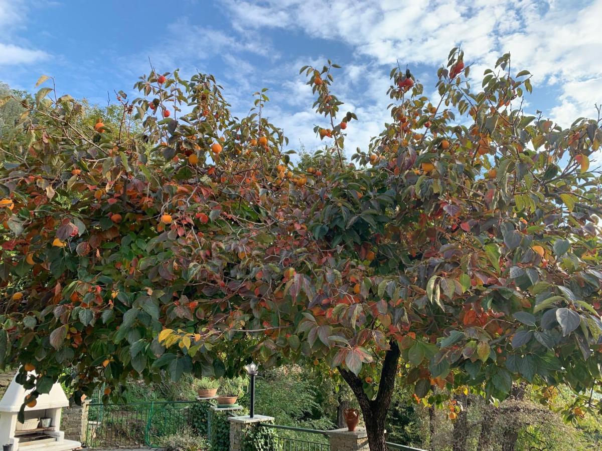 Salto Chiesa Il Giardino Di Piero - Lt-0029ヴィラ エクステリア 写真