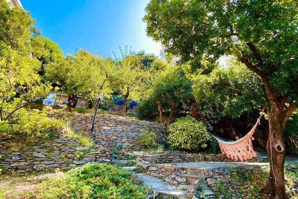 Salto Chiesa Il Giardino Di Piero - Lt-0029ヴィラ エクステリア 写真