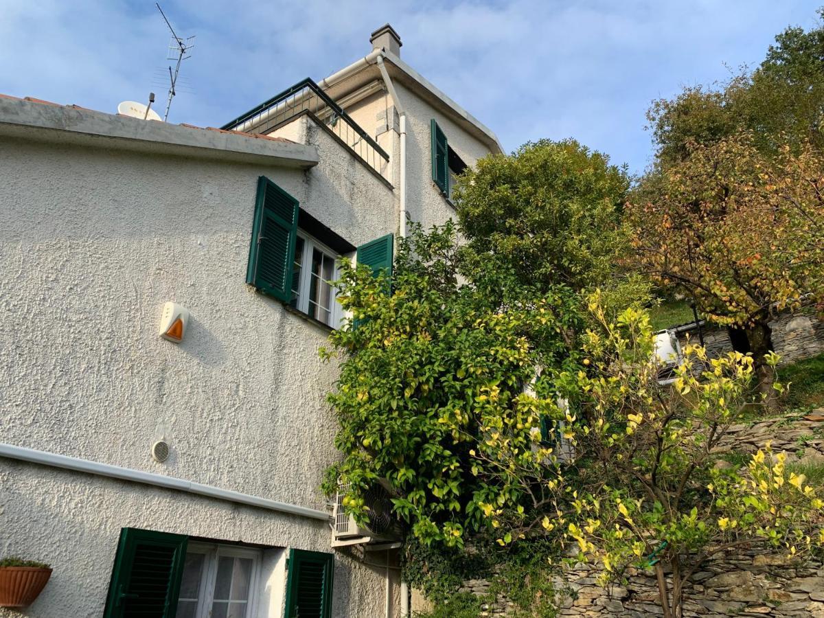 Salto Chiesa Il Giardino Di Piero - Lt-0029ヴィラ エクステリア 写真